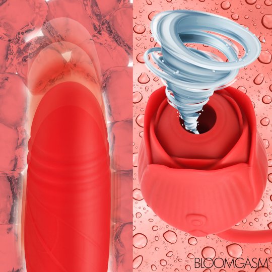 10X Romping Rose Suction and Thrusting Vibrator - Image 6